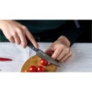 Samura DAMASCUS 67 Paring knife