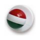 Chef jacket button - with Hungarian flag 12 pcs