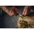 Classic Konyhai olló