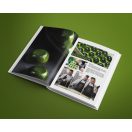 Jakabfi Dávid - A desszertműhely