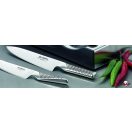 Japanese kitchen knife - Global - 20 cm