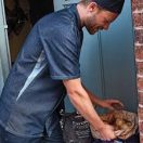 Farmer rövid ujjú szakácskabát -cipzáros záródás