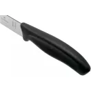 Victorinox filézőkés, 20cm, díszdobozban