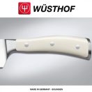 Classic IKON CREME chef